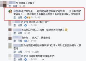 台湾许圣梅爆料视频大全,独家内容大盘点