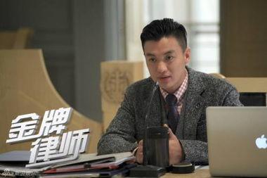金牌律师电视剧在线观看,巅峰对决，正义之战
