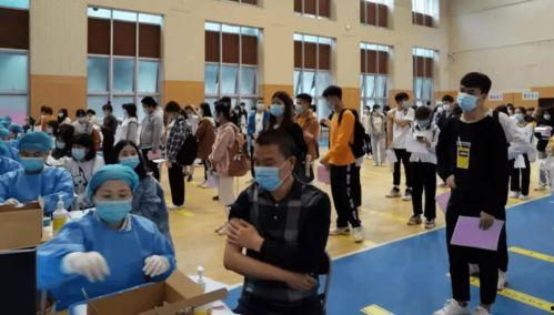 兴丽城最新爆料消息新闻,揭秘项目神秘面纱，未来居住新地标即将揭晓