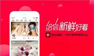 娱乐吃瓜酱视频模板免费,一场惊心动魄的“吃瓜”盛宴