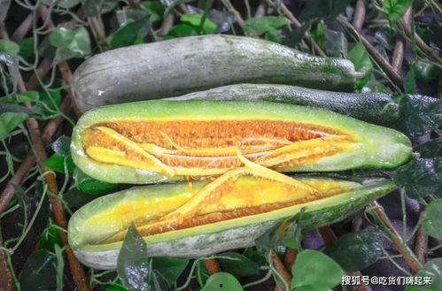 网红旅游吃瓜走红,揭秘网红打卡地的美食奥秘