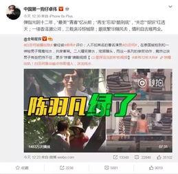 网友爆料王天缘视频在线观看,王天缘视频在线观看，揭秘背后真相