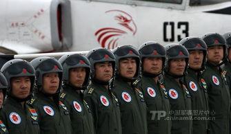 中国飞行员爆料新闻,揭秘民航安全背后的真相