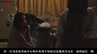 理论电影在线观看,理论电影在线观看之旅