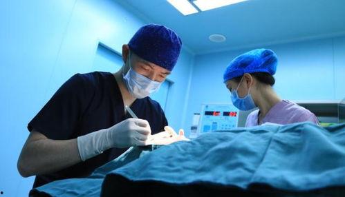 医院男女关系爆料视频,真相揭露与反思