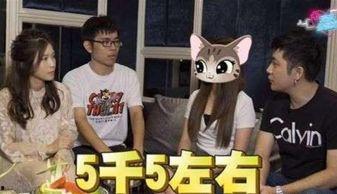 娱乐圈爆料酒店事件真相,揭开神秘面纱