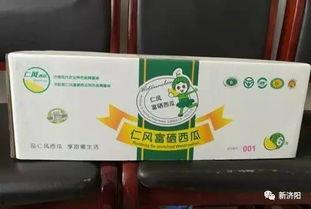 免费吃瓜二维码,畅享美食盛宴的便捷之道！”