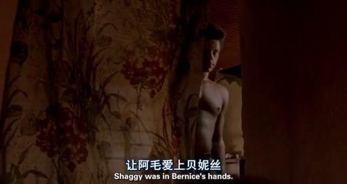 电影炼狱在线观看高清,高清在线观影，揭秘生死边缘的极限挑战