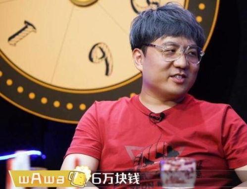 宝娃节目爆料最新,揭秘娱乐圈不为人知的幕后故事