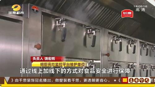厨房视频爆料大全集最新,最新视频爆料大全集深度解析