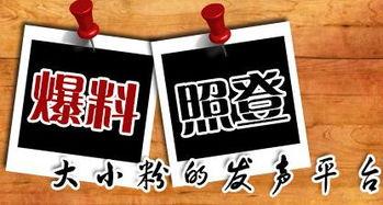 怎样想新闻爆料,揭秘新闻爆料背后的思考与行动