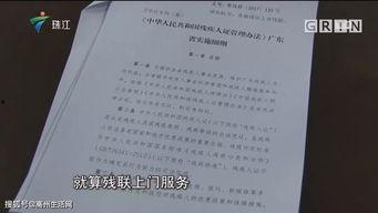 高州今日关注爆料,今日关注爆料聚焦最新动态