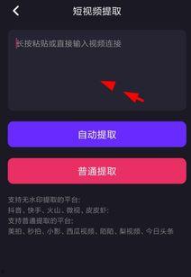 娱乐爆料视频水印模板,水印模板背后的秘密大公开！