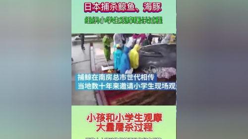 今日正能量热点爆料视频,正能量满满！今日热点视频揭示感人瞬间
