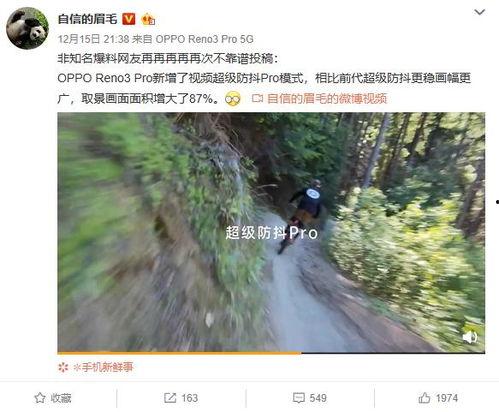 常绿干部爆料视频播放,揭秘幕后的权力游戏