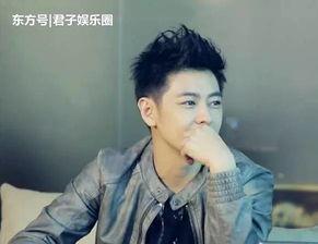 林志颖幕后爆料视频合集,独家视频合集背后的故事与感动