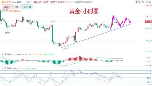 古越最新爆料后续走势,揭秘后续走势，悬念迭起引关注