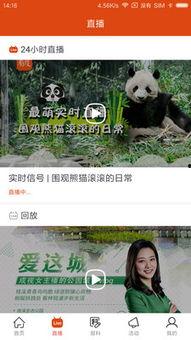 新闻在哪里看爆料视频,追踪视频来源，还原事件真相
